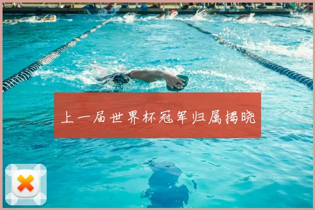 上一届世界杯冠军归属揭晓